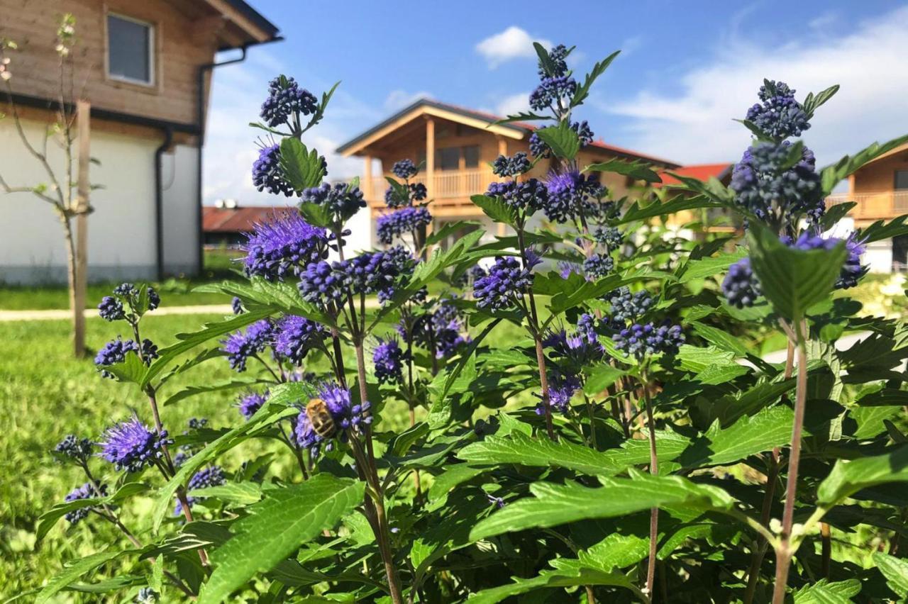 Bergchalet Falkenstein, Inzell Buitenkant foto
